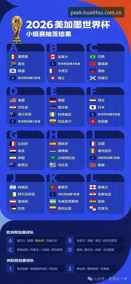 2026世界杯签证危机深度评测：华体会体育平台上的观赛体验如何被地缘政治改写？